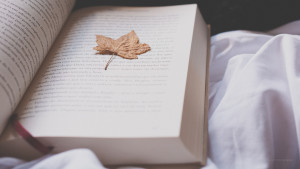 8659436706_19916251fd_k